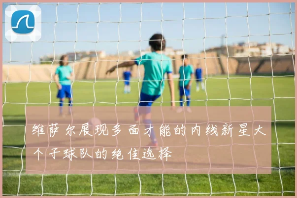 维萨尔展现多面才能的内线新星大个子球队的绝佳选择